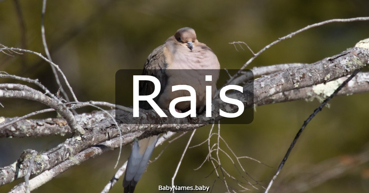 Rais