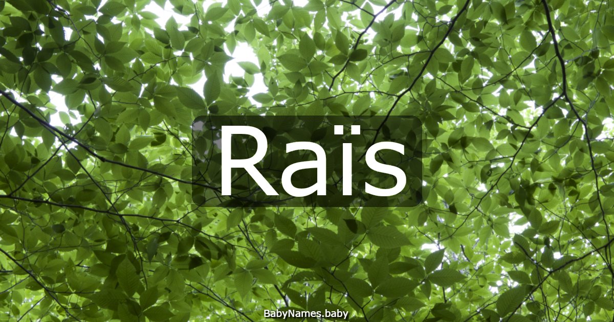 Raïs