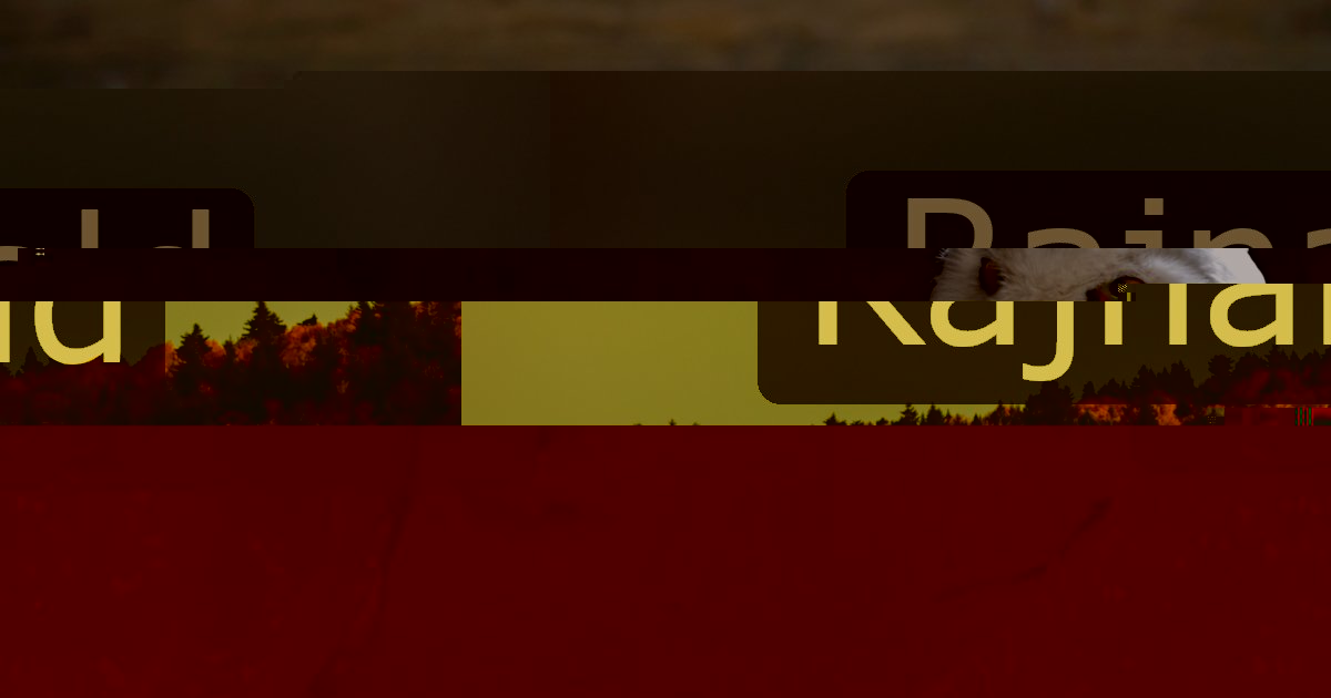 Rajnald