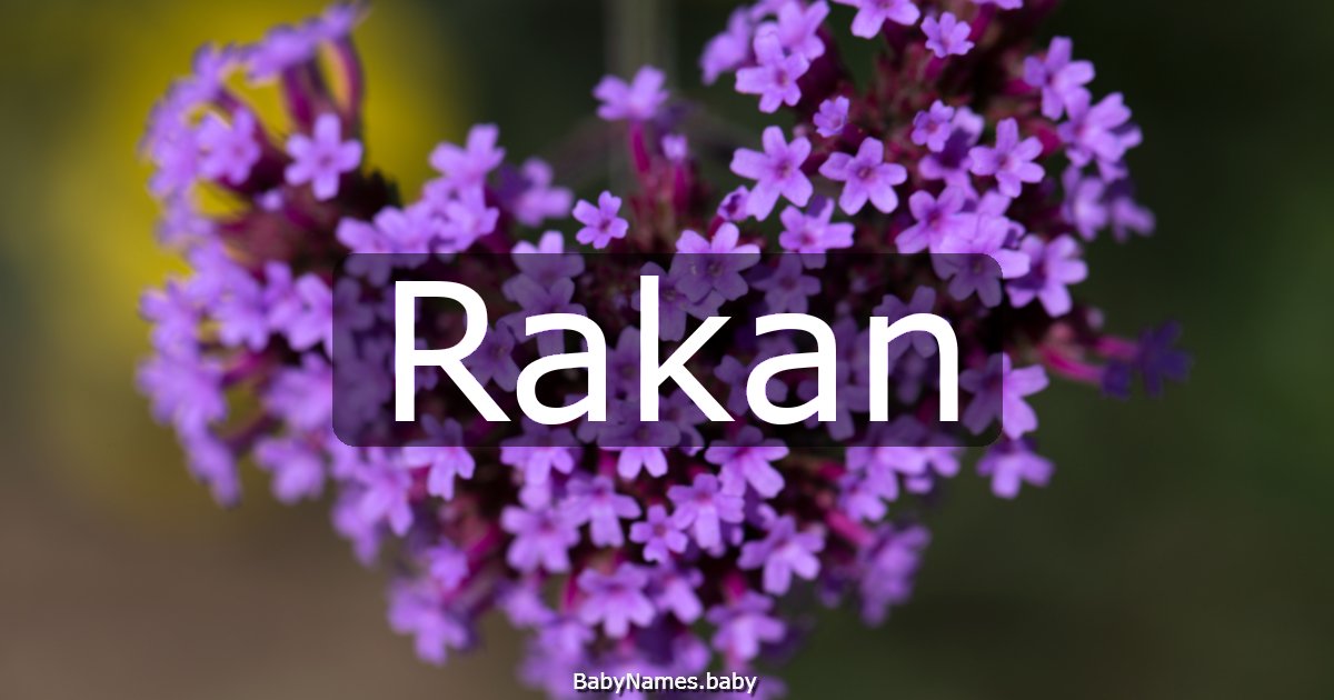 Rakan