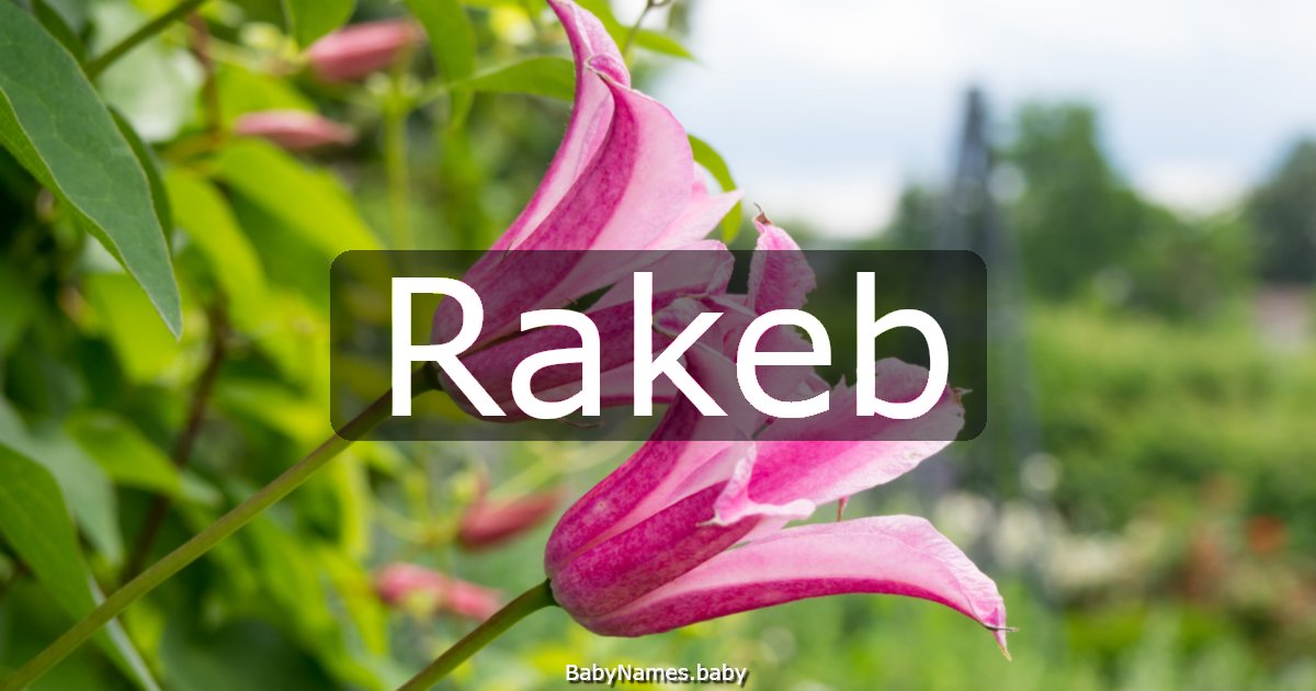 Rakeb