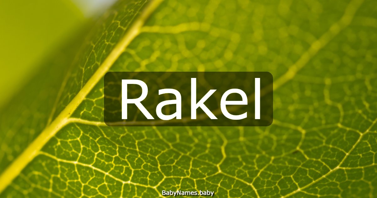 Rakel