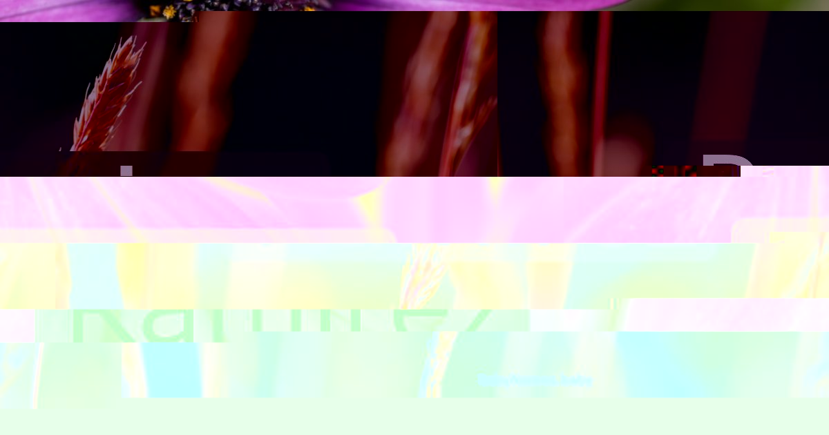 Ramirez