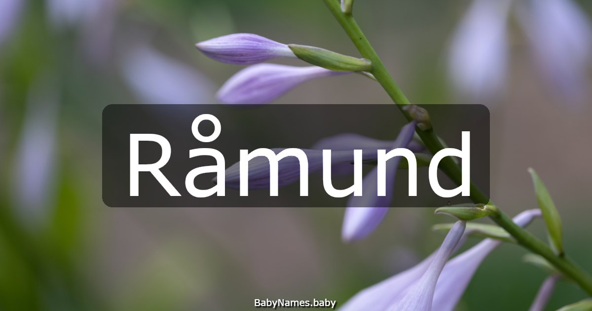 Råmund