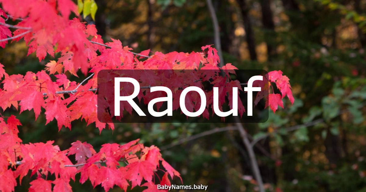 Raouf