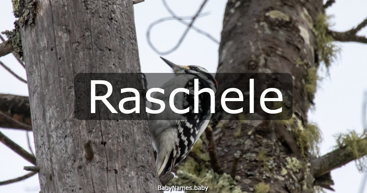 Raschele