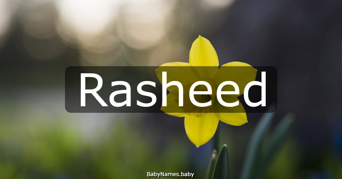 Rasheed