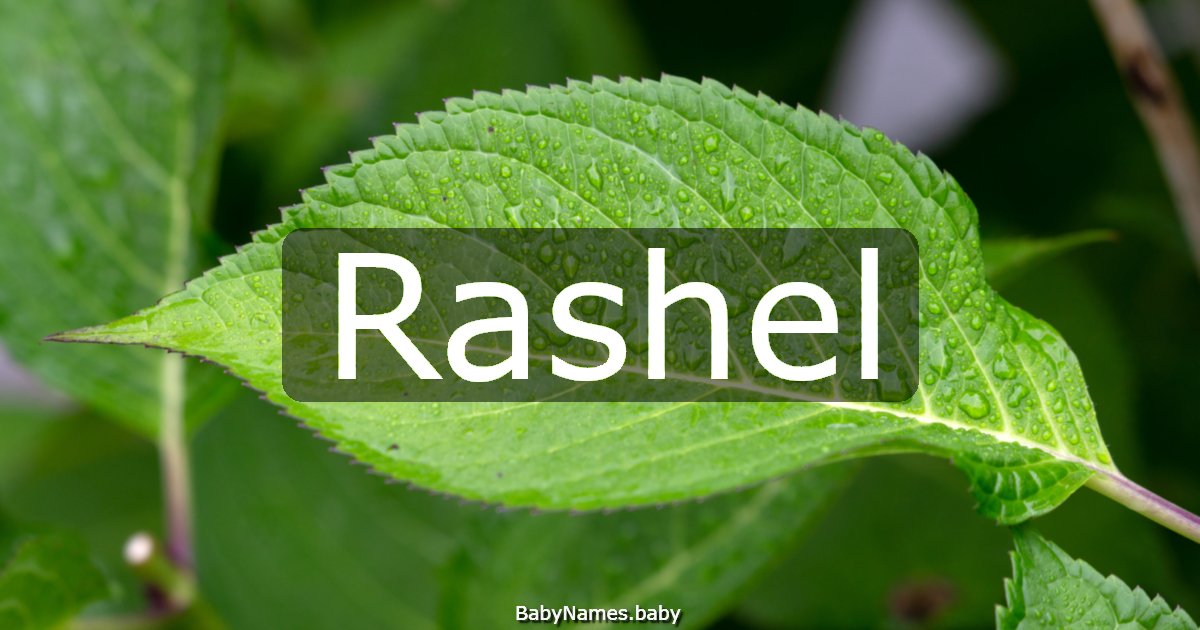Rashel