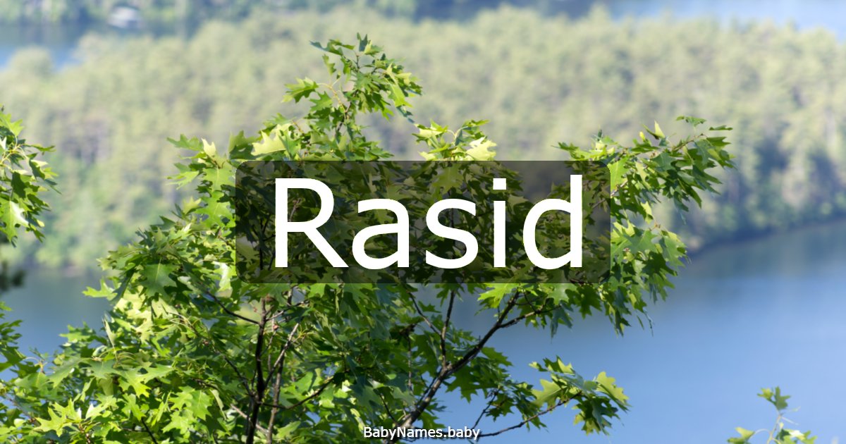 Rasid