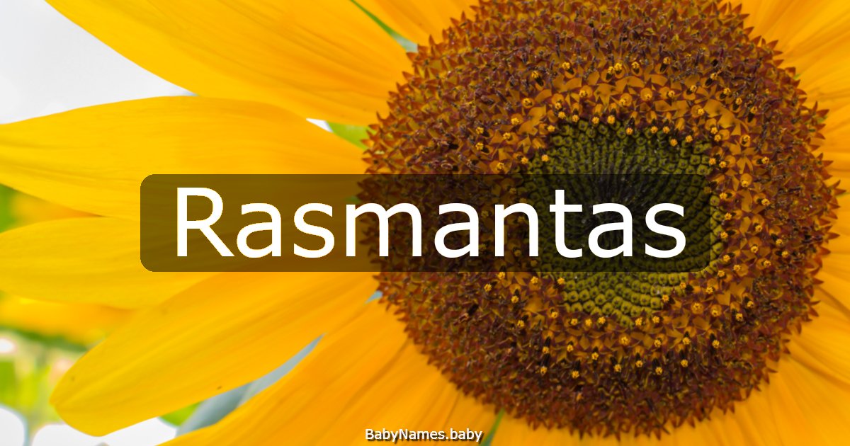 Rasmantas