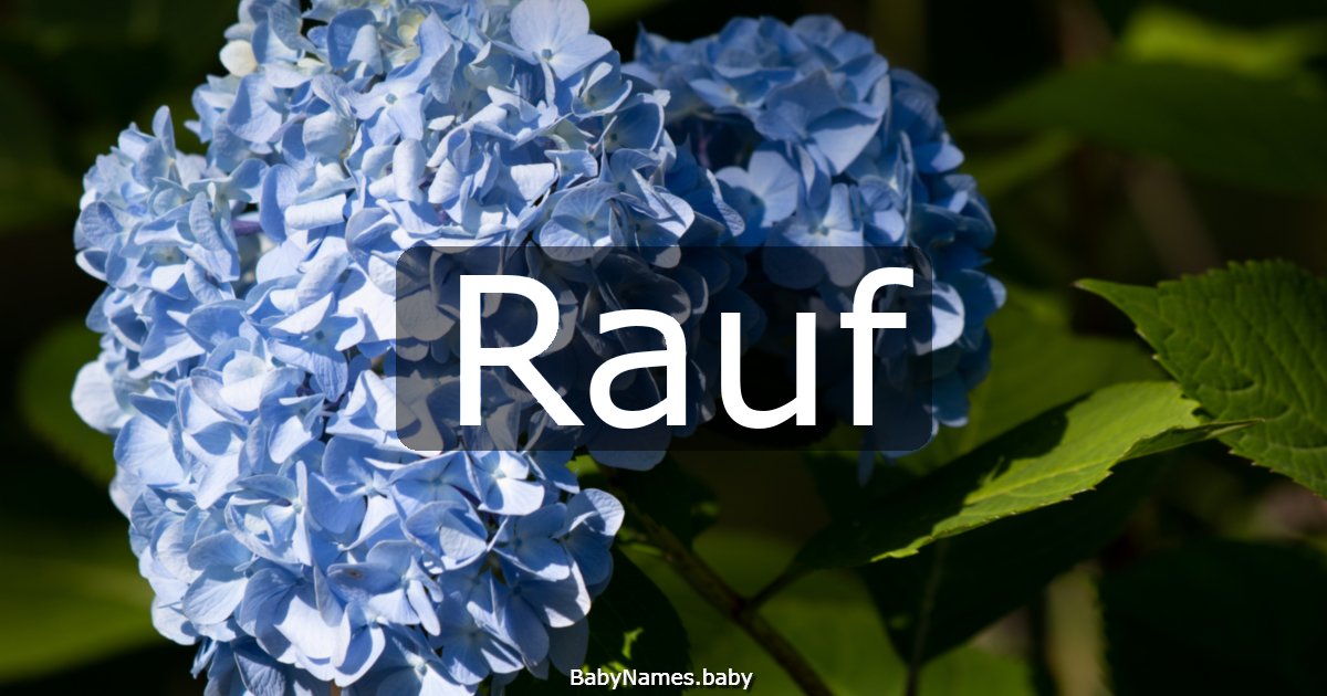 Rauf