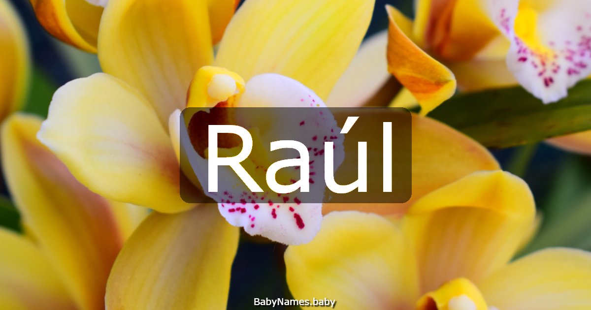 Raúl
