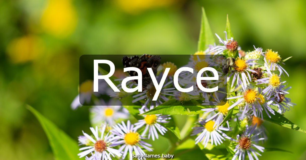 Rayce