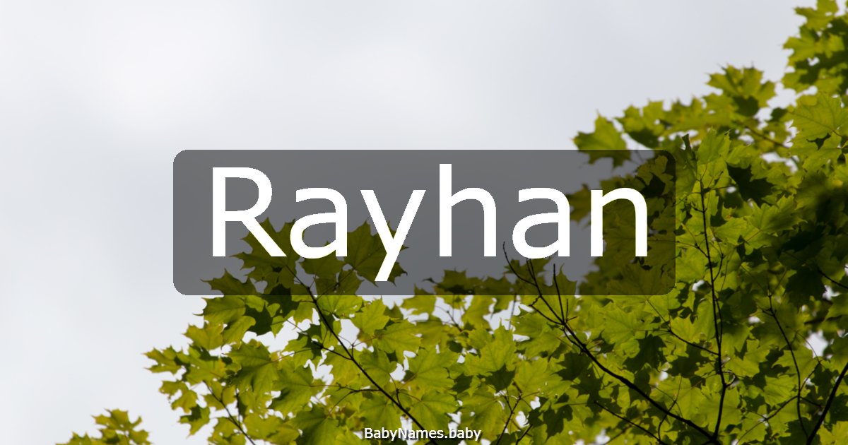 Rayhan