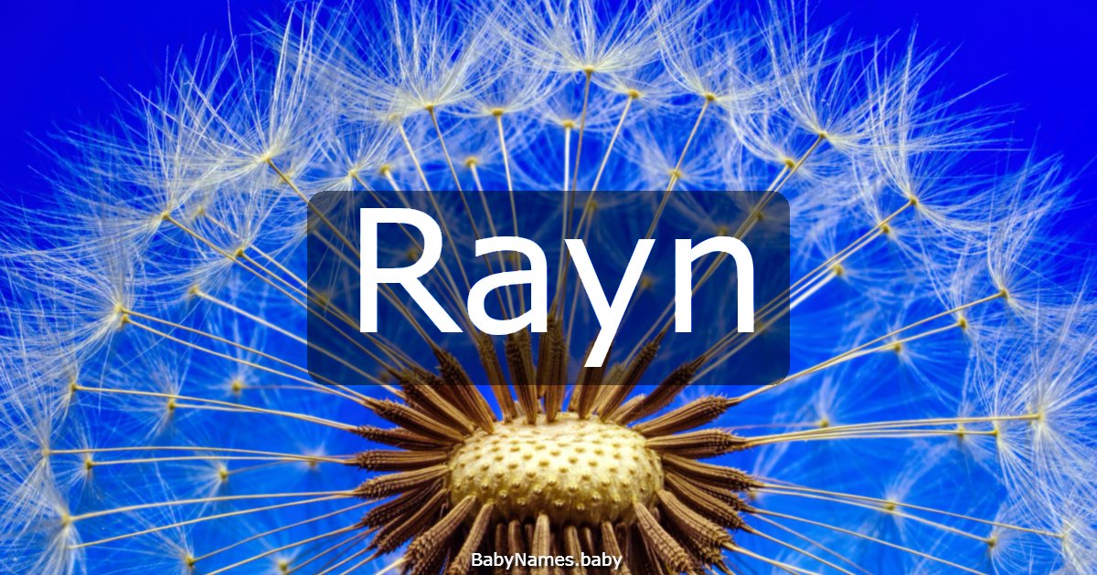 Rayn
