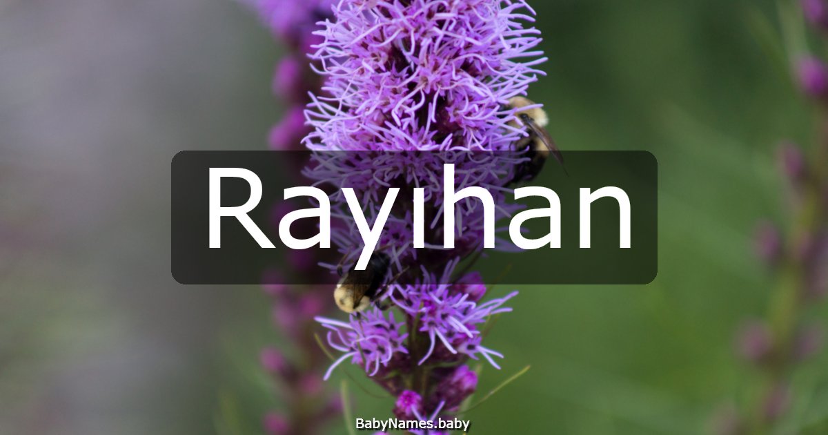 Rayıhan
