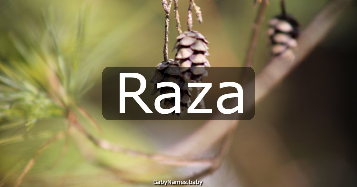 Raza