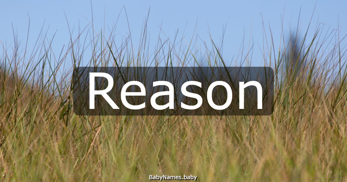 Reason