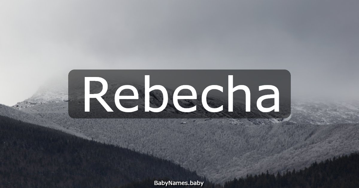Rebecha