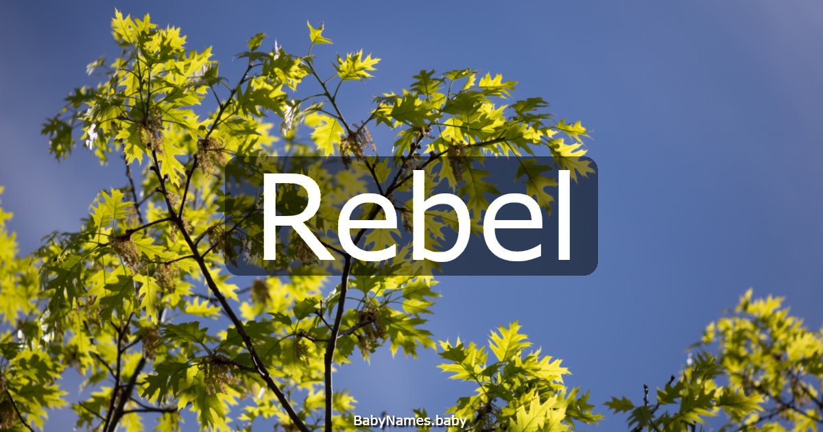 Rebel