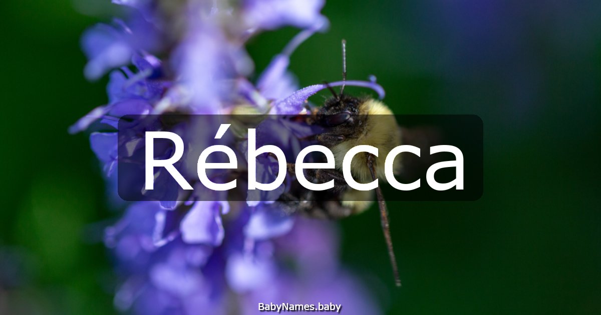 Rébecca