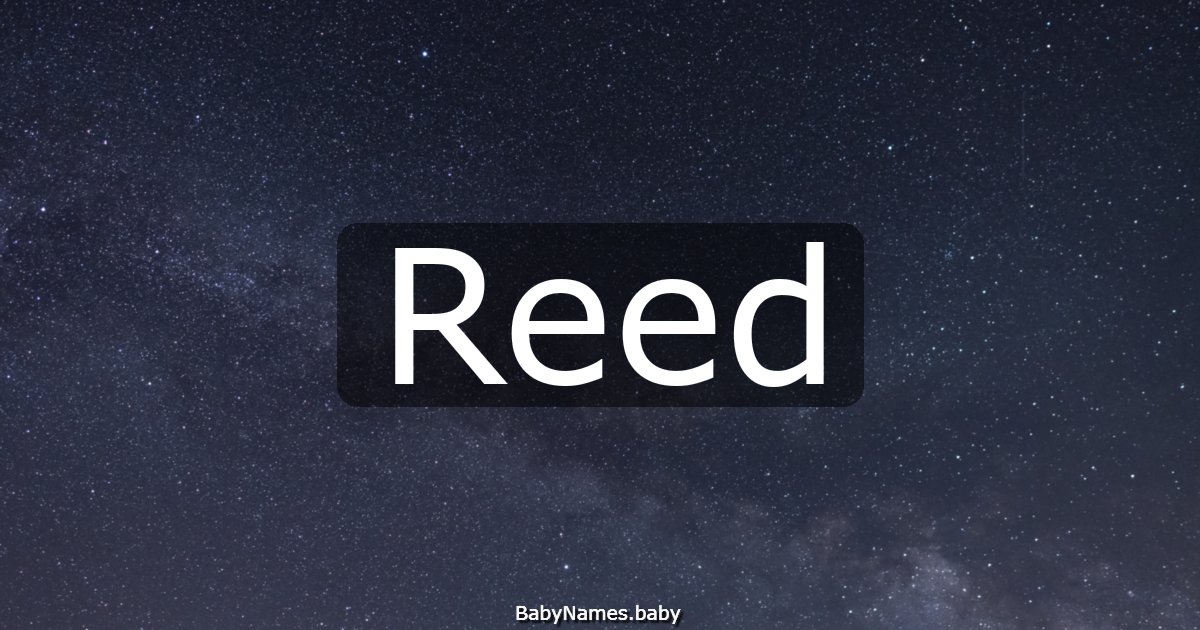 Reed