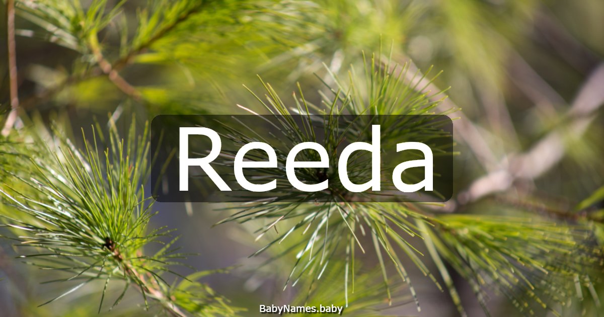 Reeda