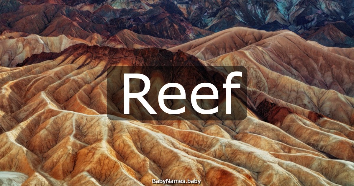 Reef