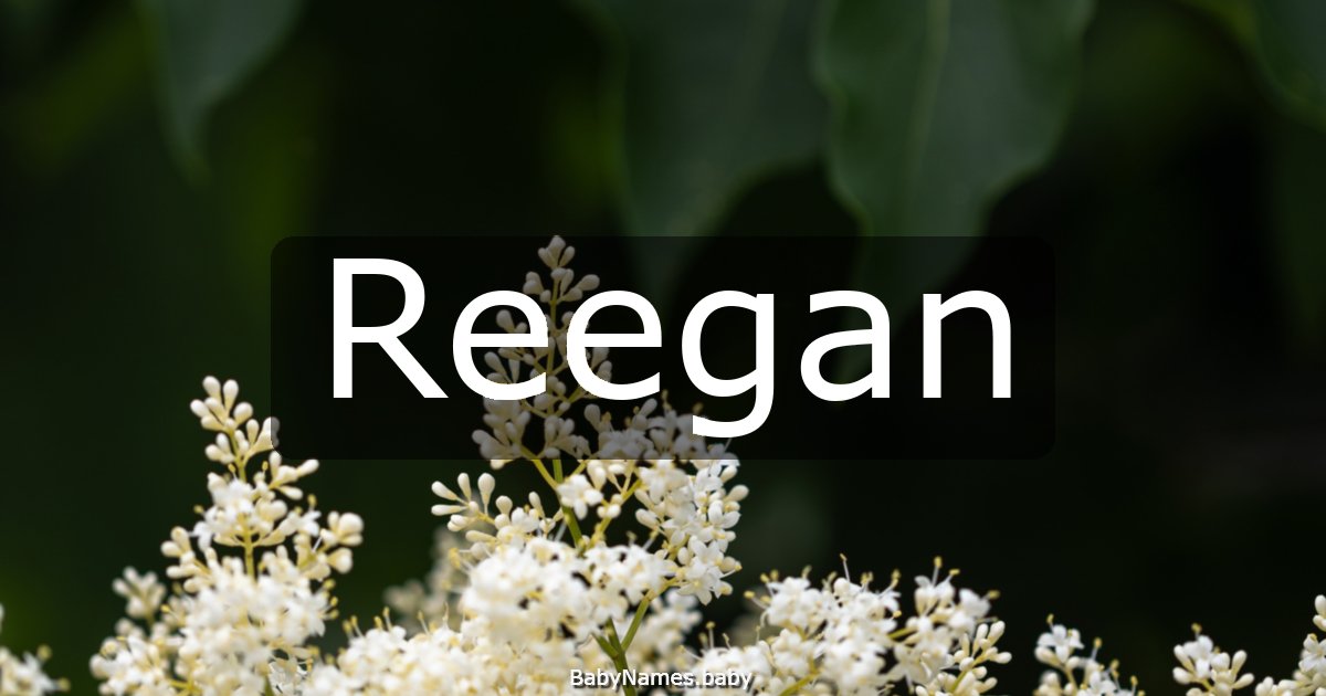 Reegan