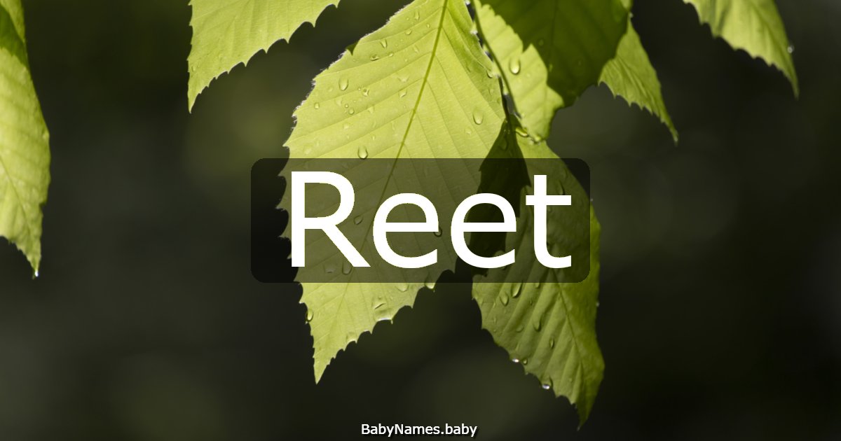 Reet