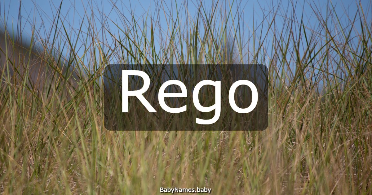 Rego