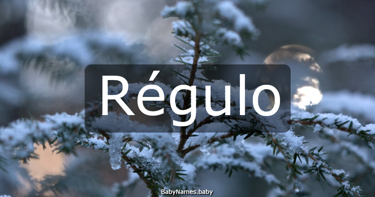 Régulo