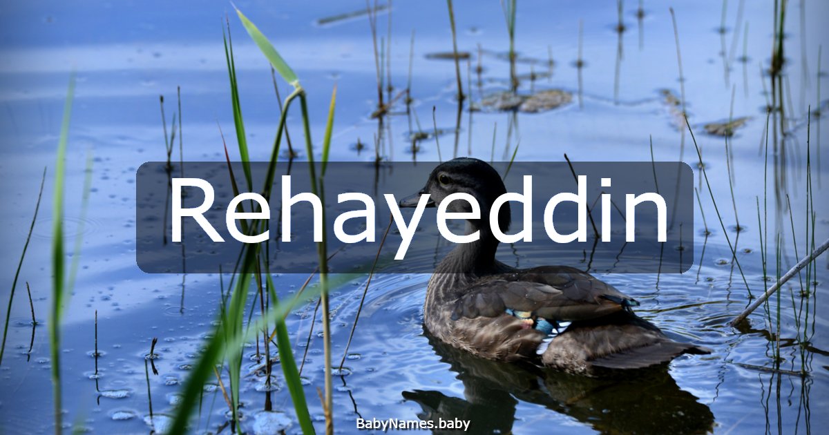 Rehayeddin