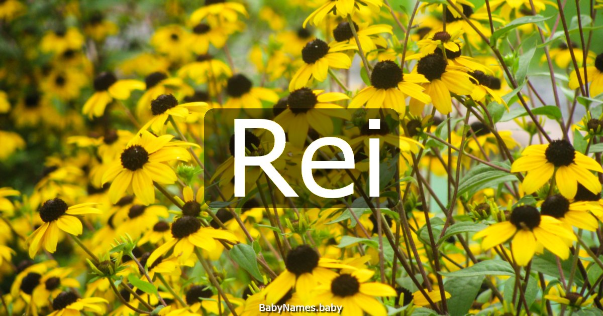 Rei