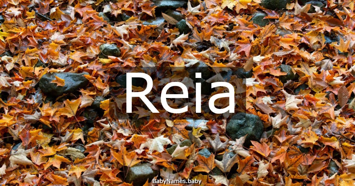 Reia