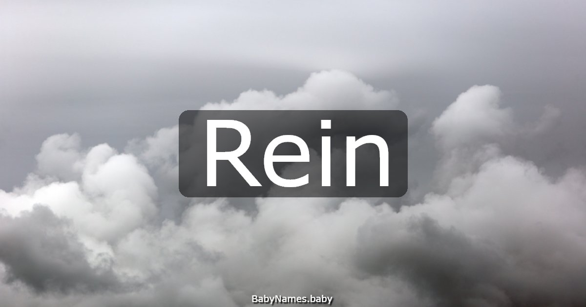 Rein