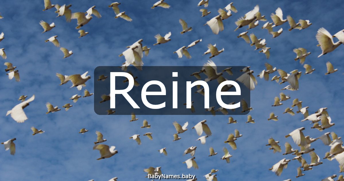 Reine