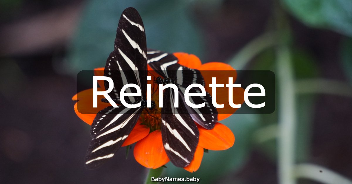 Reinette