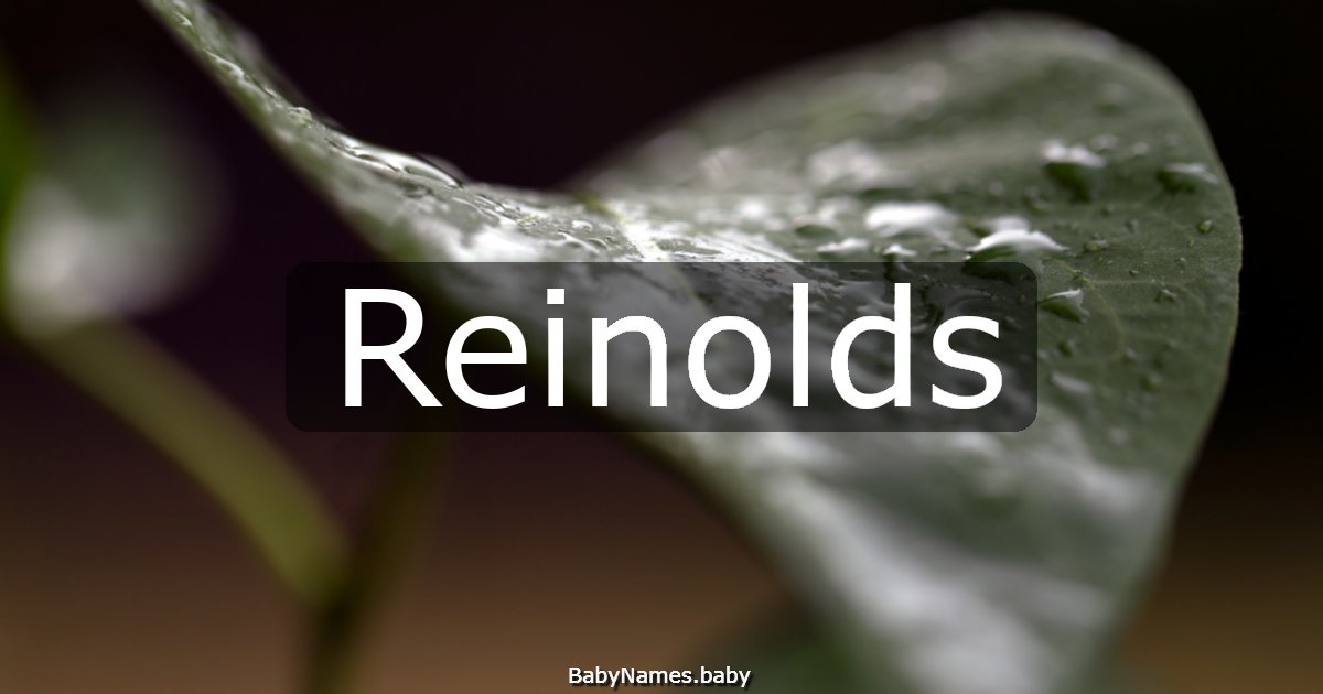 Reinolds