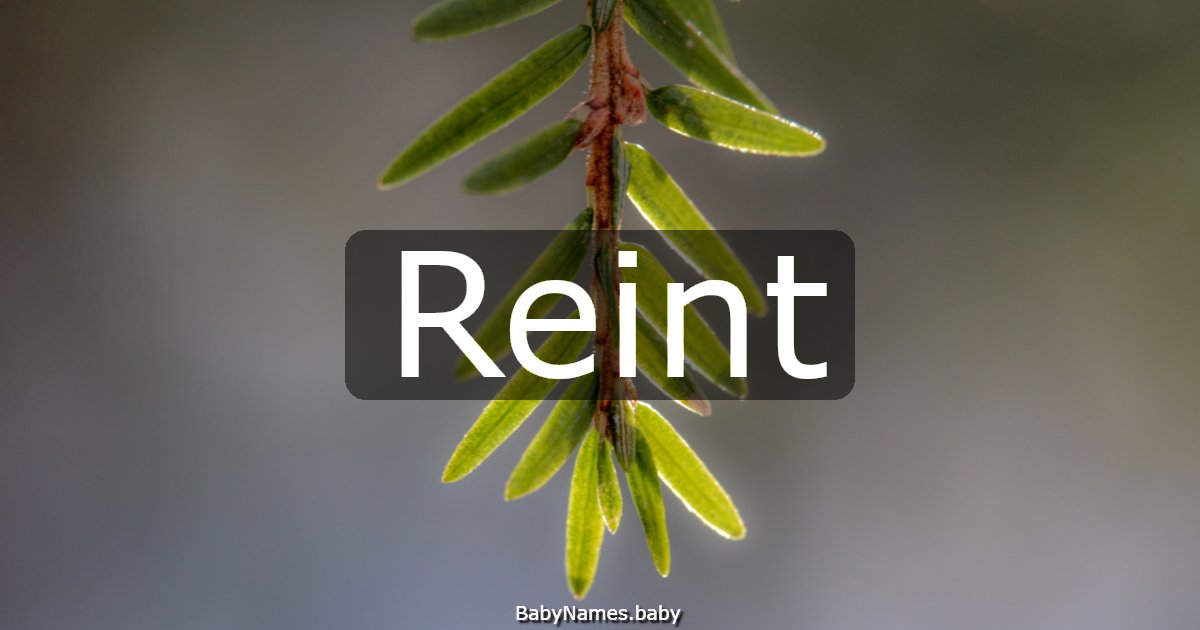 Reint