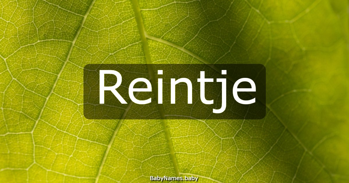 Reintje