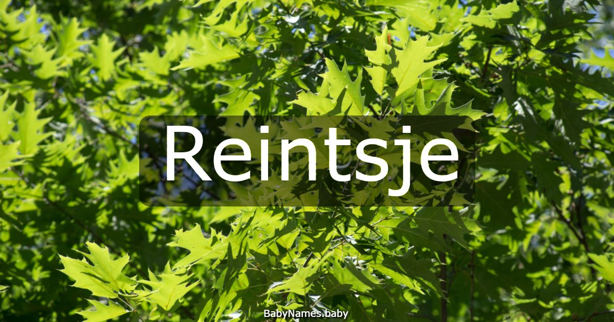 Reintsje