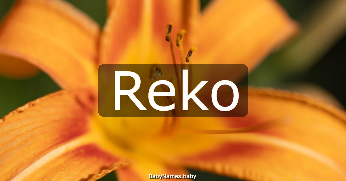Reko