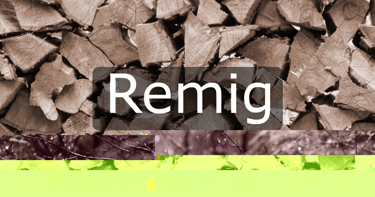 Remig
