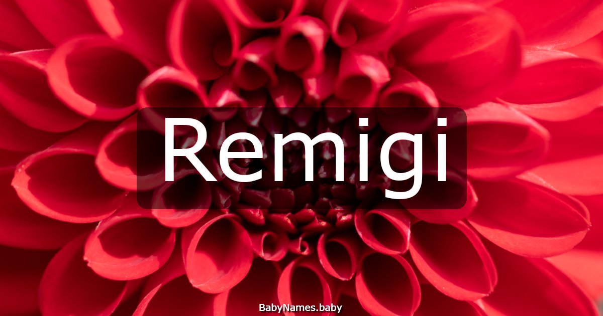 Remigi