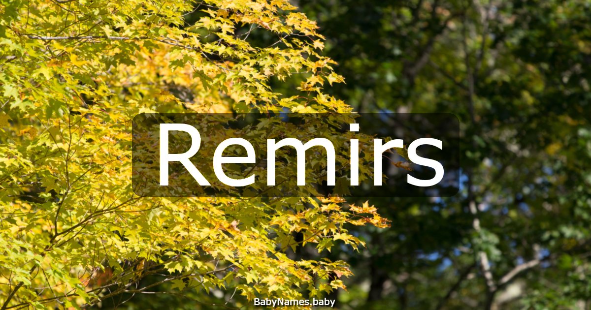Remirs
