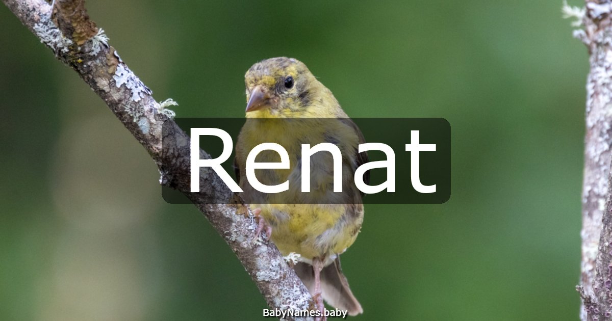 Renat