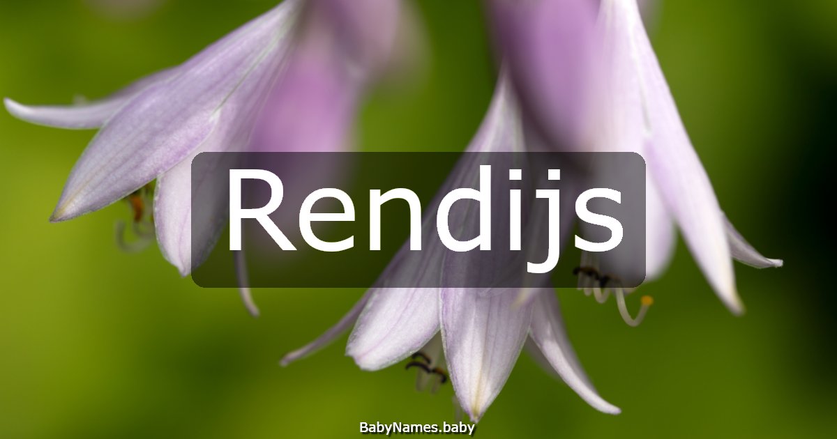 Rendijs