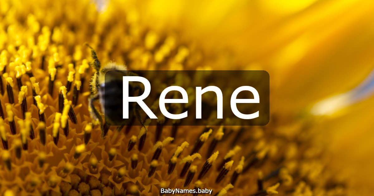 Rene