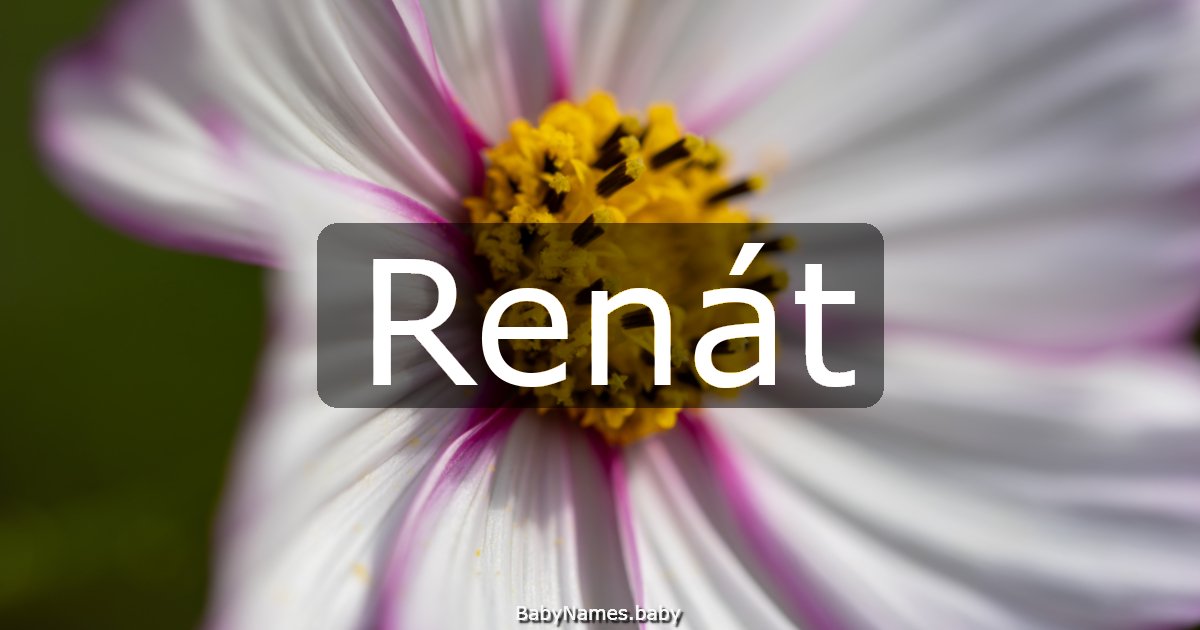 Renát